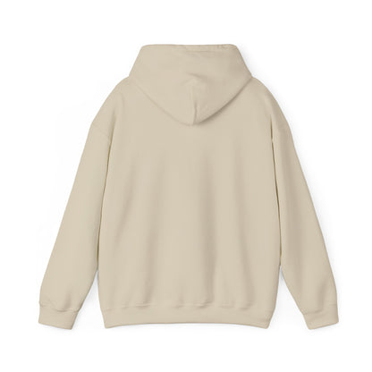 If Villain, Why Daddy? Hoodie