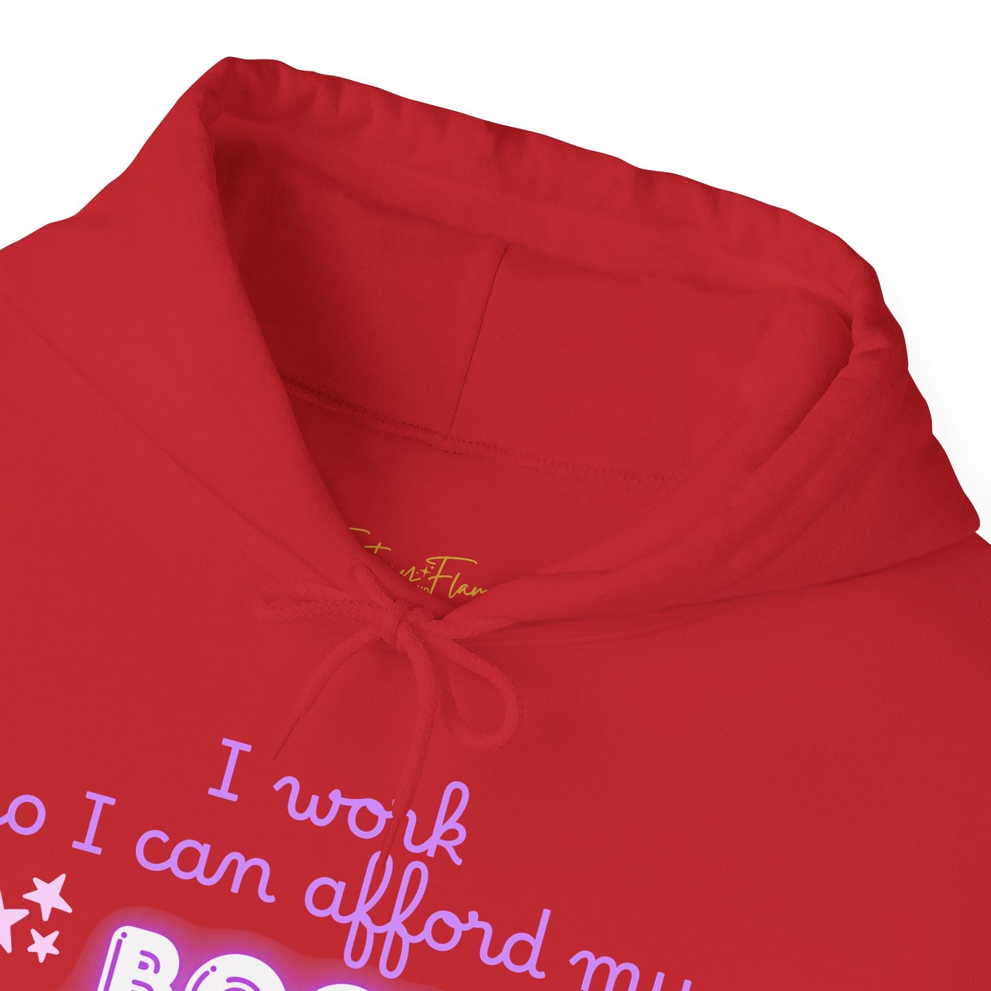 I Work to Afford My Book Addiction Hoodie