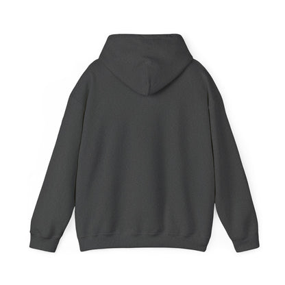 Officially Licensed The Ascent Hoodie
